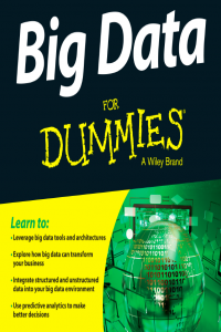 Big Data for Dummies